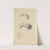 Cahiers d’Anatomie Pl.23 (18th Century) by Charles Monnet