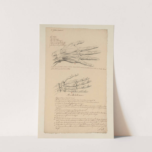 Cahiers d’Anatomie Pl.25 (18th Century) by Charles Monnet