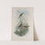 Calamoherpe arundinacea. Reed-Warbler. (1862-1873) by John Gould