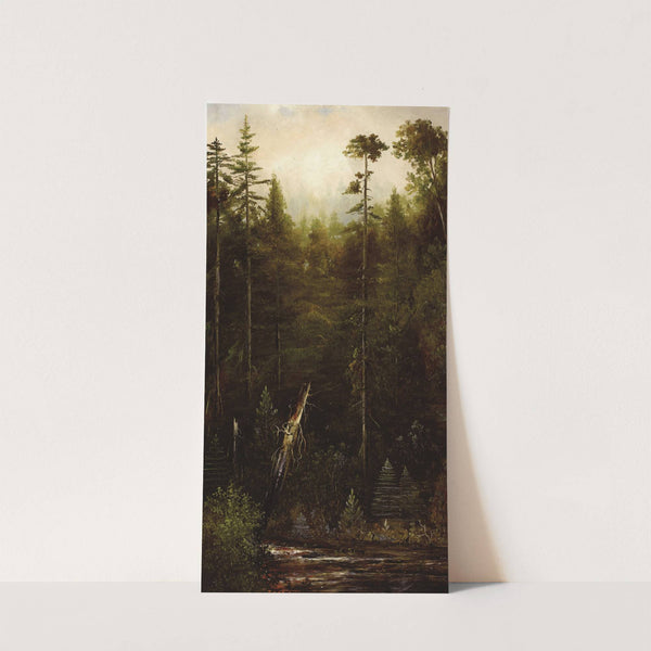 California Landscape by Norton Bush