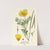 Californian Poppy (1896-1897) by Edward Step