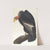 Californian vulture by John James Audubon
