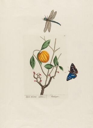 Cambogia (1797–1810)
