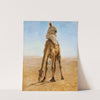 Camel Grazing, Study For Pilgrims Going To Mecca by Léon-Adolphe-Auguste Belly