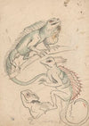 Cameleons (1880 - 1900)