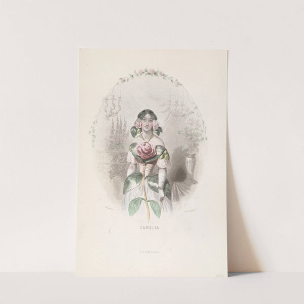 Camelia by J. J. Grandville