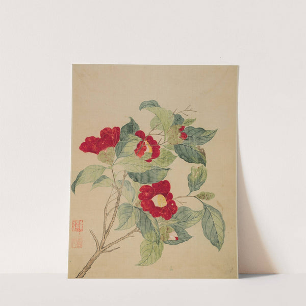 Camellias by Ma Yuanyu