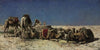 Camels beside a cistern