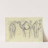 Camels (Circus Krone) by Wilhelm Kalb
