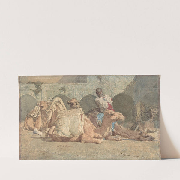 Camels Reposing, Tangiers (1838–74) by Mariano Fortuny Marsal