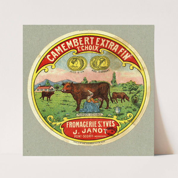 Camembert extra fin