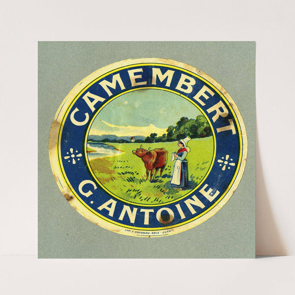 Camembert G. Antoine