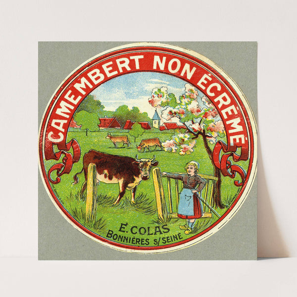 Camembert non écrémé