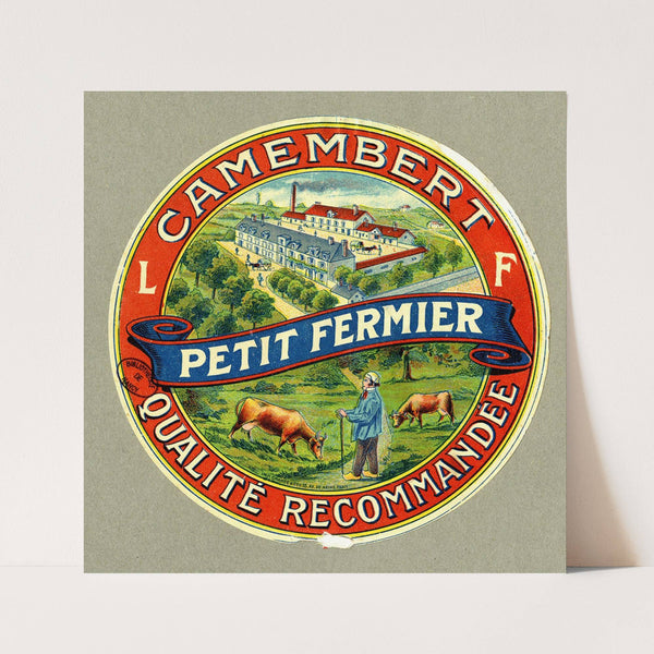 Camembert petit fermier