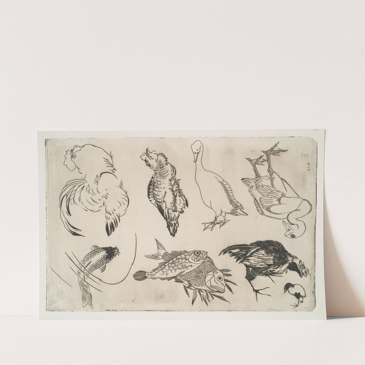 Canards, poissons, etc (1866) by Félix Bracquemond