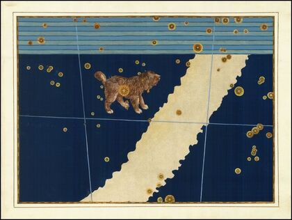 Canis Minor (1624)