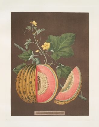 Cantaloupes (1812)