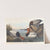 Canvas backed duck by John James Audubon