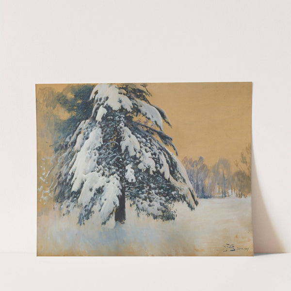 Cap of snow by Julian Falat