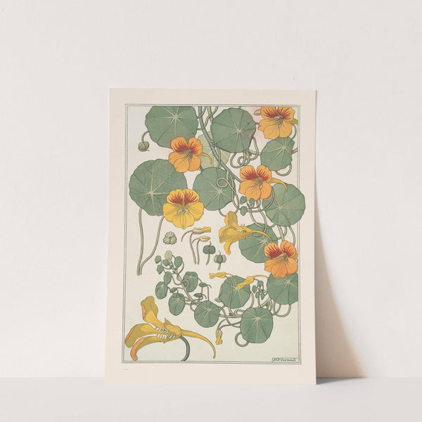 Capucine by Maurice Pillard Verneuil