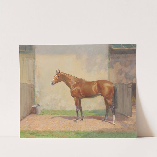 CARBINE (1891) by Martin Stainforth