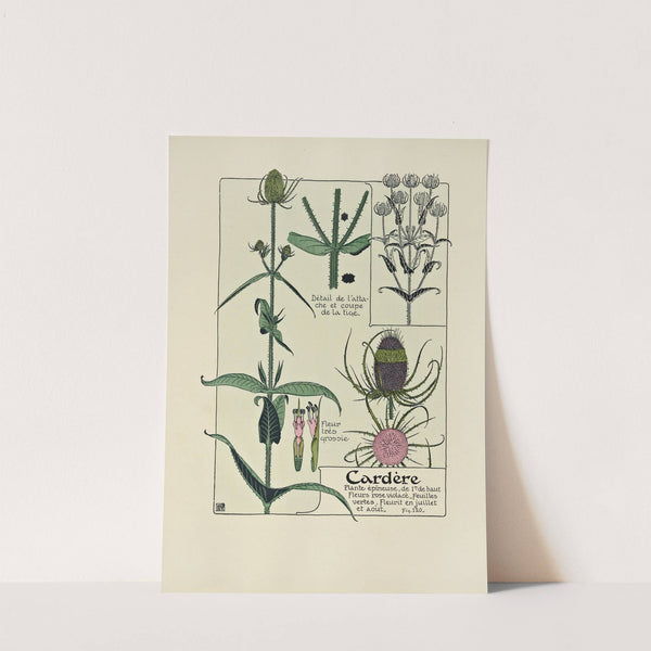 Cardere by Maurice Pillard Verneuil