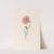 Carnation (1692) by Magdelena Rosina Funck