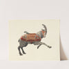 Carousel Goat by Donald Donovan