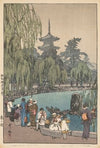 Carp and Tortoises