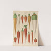 Carrots (1876-1886) by Ernst Benary