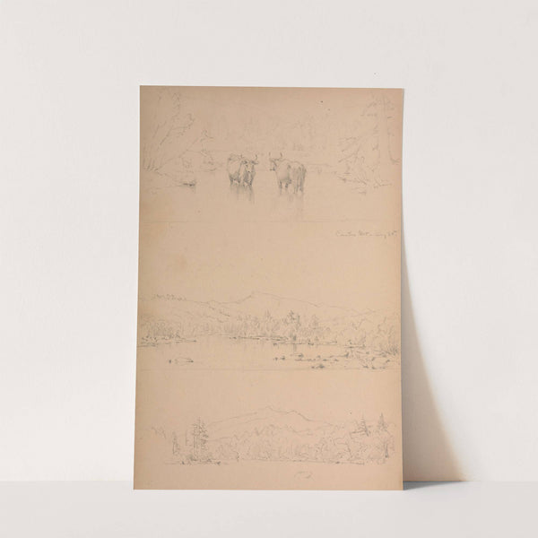 Carter Mt (1859) by Sanford Robinson Gifford