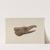 Carved Eagle Head by Lucille Chabot