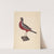 Carved Wood Robin by James McLellan