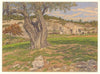 Cassis (1923)