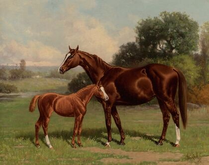 Castalia and Colt by Uncas (1894)
