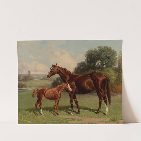 Castalia and Colt by Uncas (1894) by Henry Stull