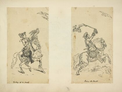 Casting off the hawk; Luring the hawk