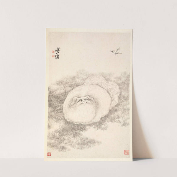 Cat and Butterfly by Min Zhen