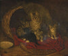 Cat and Kittens
