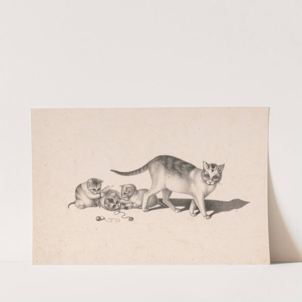 Cat and three kittens playing with string and paper by Charles Fenderich