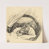 Cat Asleep in Basket by Auguste Andre Lançon
