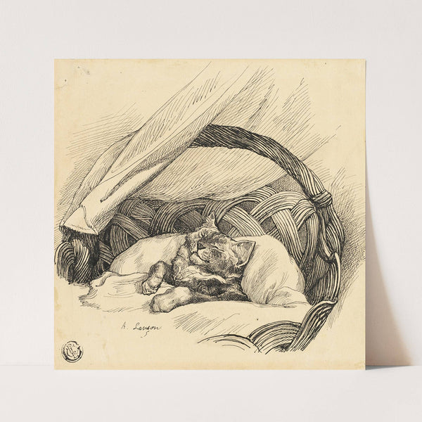 Cat Asleep in Basket by Auguste Andre Lançon