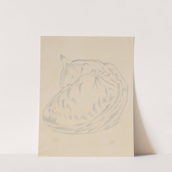 Cat Sleeping by Henri Gaudier-Brzeska