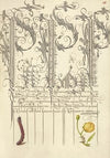 Caterpillar and Globeflower (1561–1596)