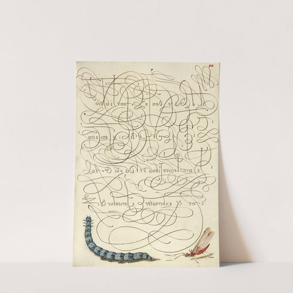 Caterpillar and Insect (1561–1596) by Joris Hoefnagel