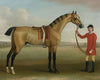 Cato, A Bay Racehorse, With A Groom In A Landscape