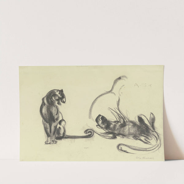 Cats by Alfred Schnaars