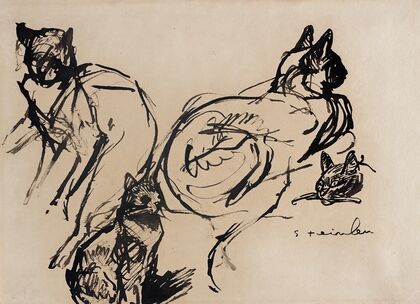 Cats (19th-20th century)