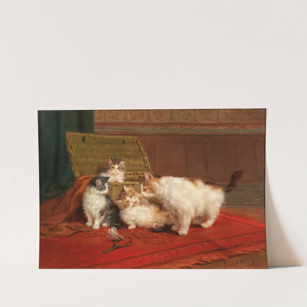 Cats by Daniel Merlin