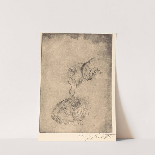 Cats (Katzenstudie) (1920) by Lovis Corinth